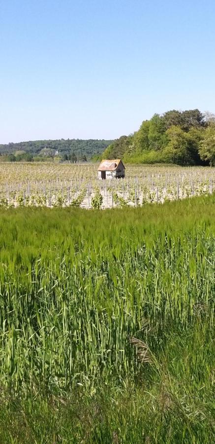 Le Clos De La Chesneraie Saint-Georges-sur-Cher Exteriör bild